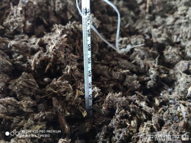微生物菌劑發(fā)酵雞糞有機肥工藝