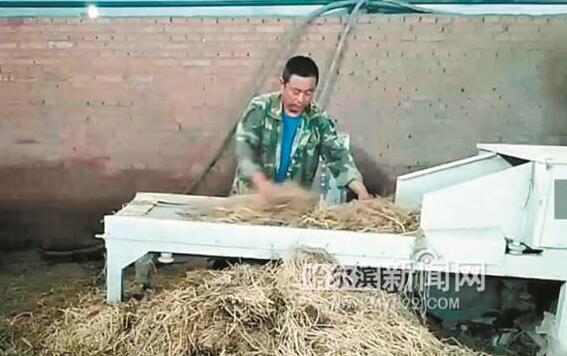七份稻草三份牛糞, “蒸”出來的有機肥