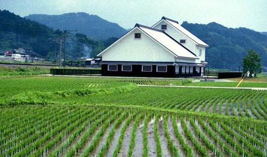 黑龍江關于開展2020年果菜茶有機肥替代化肥 試點縣(市、區)申